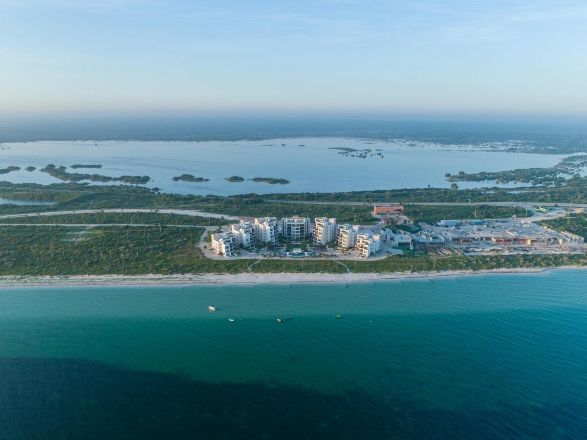 텔차크 푸에르토 Playa, Selva, Cenotes, Ruinas, Marina Todo A 5 Km 아파트 외부 사진
