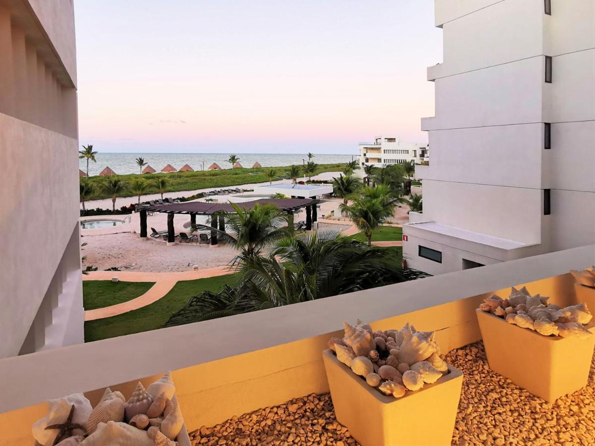 텔차크 푸에르토 Playa, Selva, Cenotes, Ruinas, Marina Todo A 5 Km 아파트 외부 사진