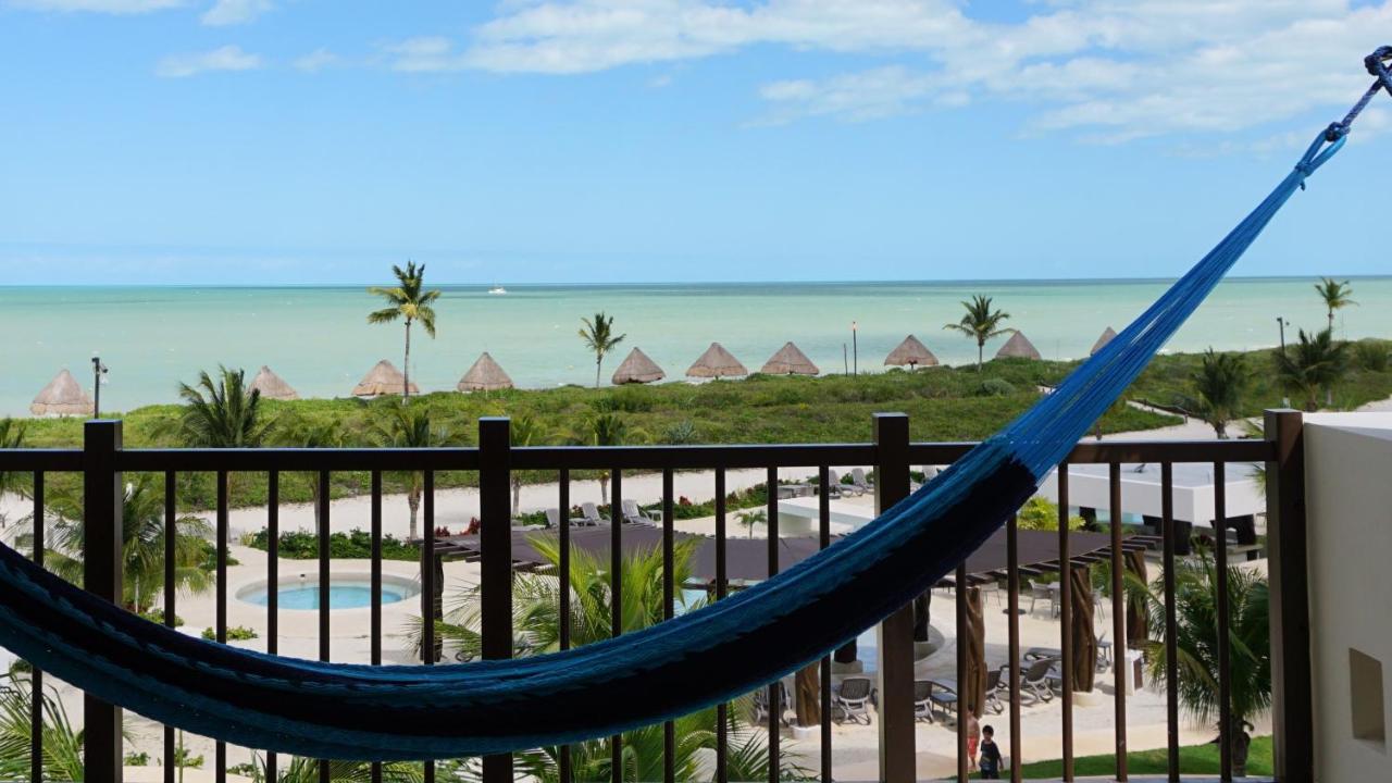 텔차크 푸에르토 Playa, Selva, Cenotes, Ruinas, Marina Todo A 5 Km 아파트 외부 사진